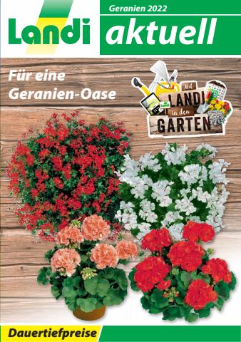 Landi Katalog in Risch-Rotkreuz | LANDI - Geranien 2022 | 25.4.2022 - 31.12.2022