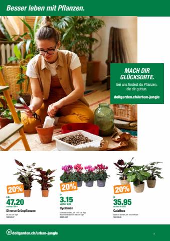 Do it + Garden Katalog | Unser neuer Flyer ist da! | 26.9.2023 - 9.10.2023