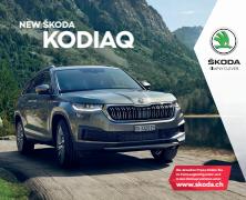 Angebot auf Seite 18 des Prospekt New KODIAQ-Katalogs von Škoda